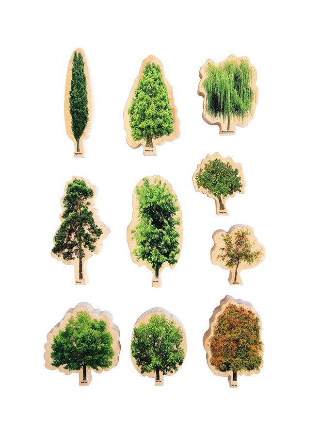 THE FRECKLED FROG Wooden Seasons Trees - Image 1